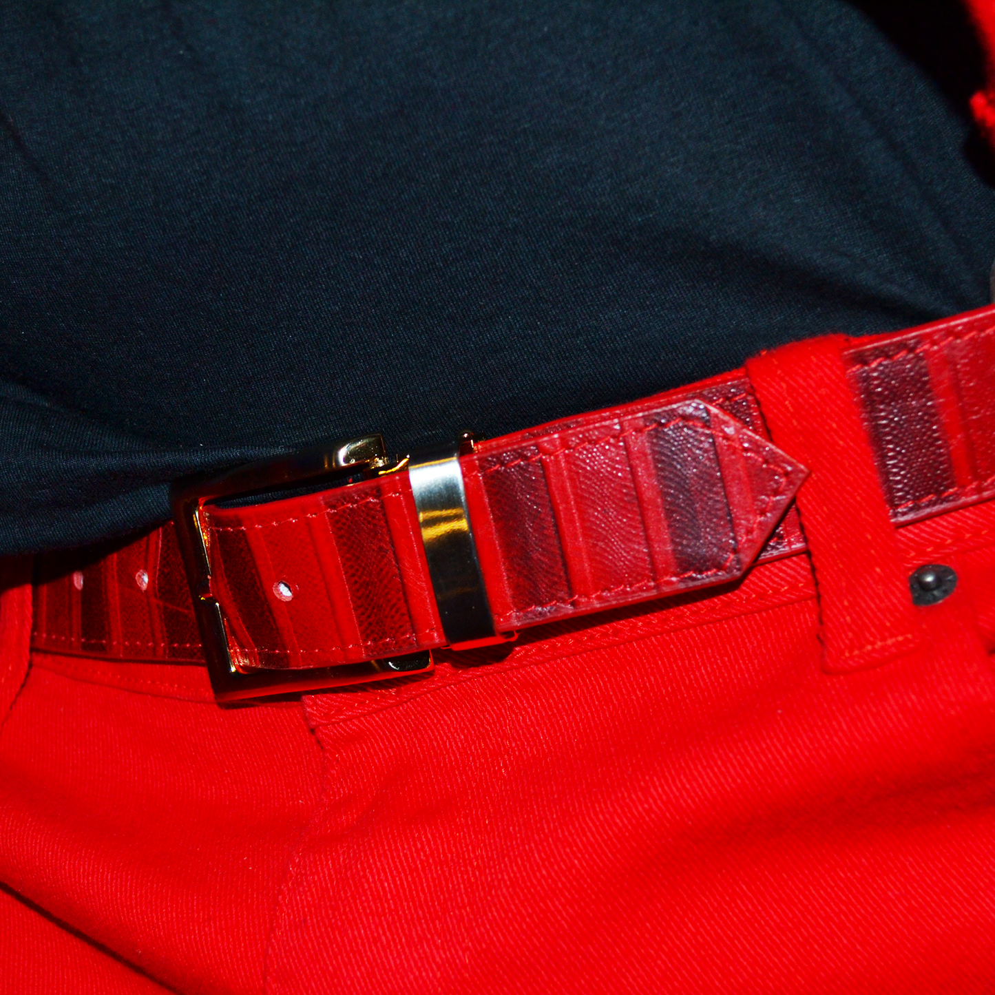 TC REGENCY Belt, Reversible